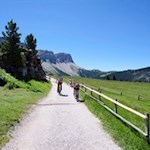 Auch Mountainbiker suchen die Geisleralm gerne auf