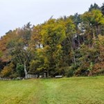 Der Lengsteiner Rundwanderweg führt zunächst durch eine Weidewiese