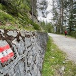 Auf dem breiten Weg Nr. 37 zur Dürrensteinhütte