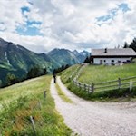 Der Weg zur Waldneralm ist auch bei Mountainbikern beliebt