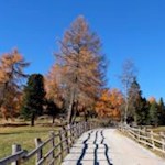 Herbstliches Farbenspiel auf der Villanderer Alm