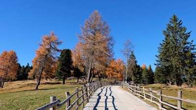 Herbstliches Farbenspiel auf der Villanderer Alm