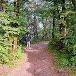 Der Rückweg von der Leuchtenburg erfolgt am schnellsten auf dem Hinweg