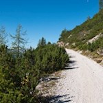 On the gentle mountain trail to Città di Carpi mountain hut