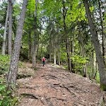 Die Wanderung nach St. Hippolyt führt durch lichte Mischwälder
