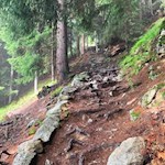Die Puntleider Seealm ist über einen steilen Waldsteig zu erreichen