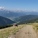 Auf breitem Wege zur Bonner Hütte