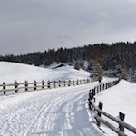 Die Rodenecker Alm ist auch bei Langläufern und Schneeschuhwanderern beliebt