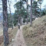 Gemütlicher Spaziergang in Völs am Schlern