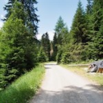 Der sanfte Weg ist ideal für einen Ausflug mit der ganzen Familie