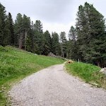 Auf dem Weg Nr. 7 zur Tesselberger Alm