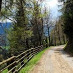 Frühlingserwachen...