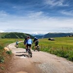 Der Weg zur Sattler Schwaige ist auch bei Mountainbikern beliebt