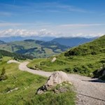 On the scenic hiking trail no. 9 to the Rifugio Sasso Piatto mountain hut