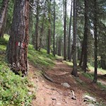 Der Weg zu den Koflerseen ist bestens markiert