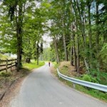 Der erste Teil der Wanderung folgt einem asphaltierten Sträßchen