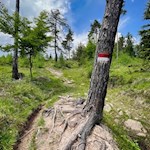 Durch Wald und Wiesen zum Tomanegger