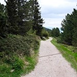 Unterwegs geben einige Infotafeln interessante Einblicke in die Landschaft