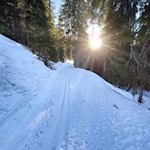 Durch den winterlichen Wald zur Kalcheralm