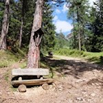 Auf dem Weg zur Plafötsch Alm laden einzelne Aussichtsbänke zur gemütlichen Zwischenrast