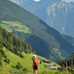Vor der Kulisse der Ahrntaler Bergwelt zur Schwarzbachalm