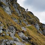 Sanft windet sich der Wanderpfad auf das Hornischegg