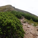 Wo dereinst Brandopfer dargebracht wurden: der Gipfel des Schwarzhorn