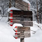 Links zweigt der längere, rechts der kürzere, aber steilere Anstieg zum Hofer Alpl ab