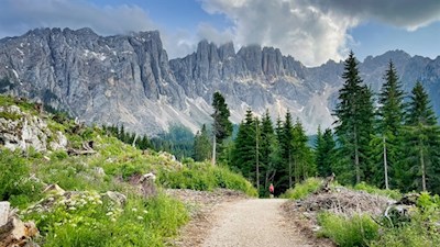 Vor der Kulisse des Latemar zum Mitter- und zum Karersee