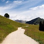 Von der Gurndinalm schlängelt sich der gemütliche Wanderweg zum Ausgangspunkt zurück