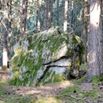 Mitten im Wald stößt man auf einen Findling