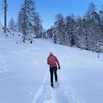 Durch den Pulverschnee zum Eggentaler Bergkino in den Latemarwiesen