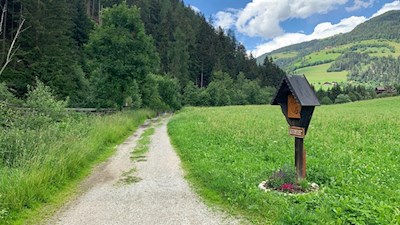 Auf dem sanft verlaufenden Kreuzweg