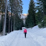 Durch den trauten Wald zur Messnerjoch Hütte