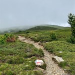 Über einsame Hänge zur Rossalm