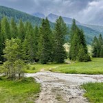 Durch das Biotop Sanderau