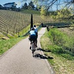 Radweg bei Frangart in Richtung Kaltern