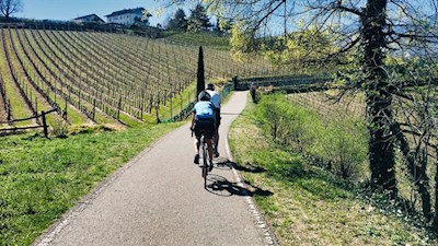 Radweg bei Frangart in Richtung Kaltern