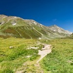 Über blumenreiche Wiesen in Richtung Edelrauthütte