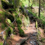 Halteseile helfen über rutschige Passagen