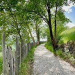 Auf dem Besinnungsweg nach Thuins