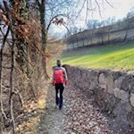 Auf schönen Wiesenwegen nach Siffian