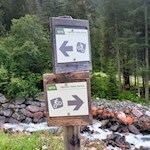 Der Weg zur Göge Alm kann auch mit dem Mountainbike befahren werden