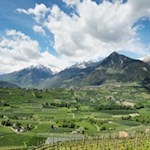 Im Hintergrund erhebt sich die aussichtsreiche Mutspitze