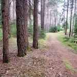 Der Wanderweg von Obervintl nach Terenten ist gut markiert