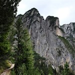 Auf schmalen Pfaden zur Sesselschwaige