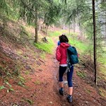 Durch den Wald zur Weizgruberalm