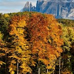 Vor uns erhebt sich der majestätische Schlern