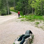 Auf dem Künstlerweg von Stern nach St. Kassian im Gadertal