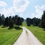 Im sanften Anstieg zur Ciampcios Hütte